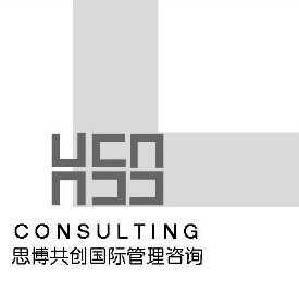 HSG Consulting Logo